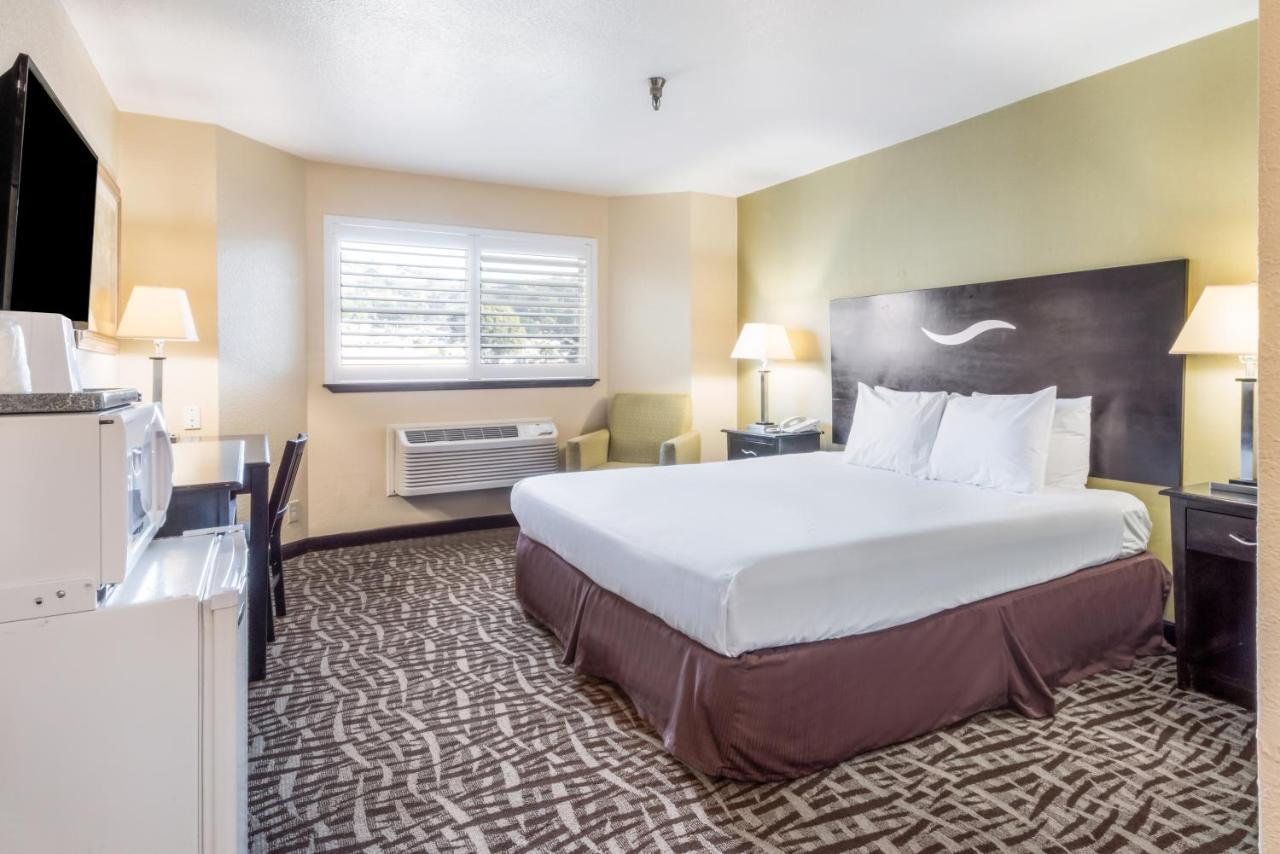 Standard King Room,1072332061:JPEG