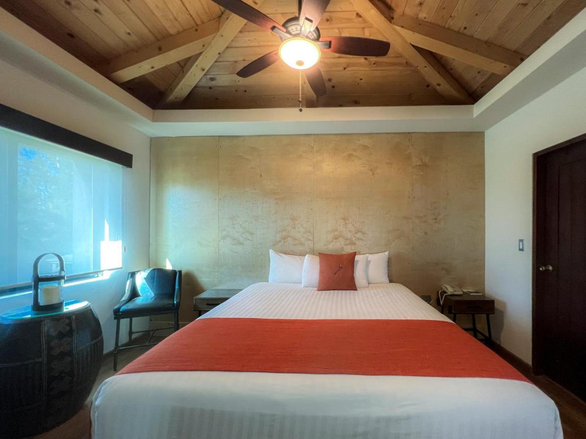 Master Suite with Terrace,1588429948:JPEG
