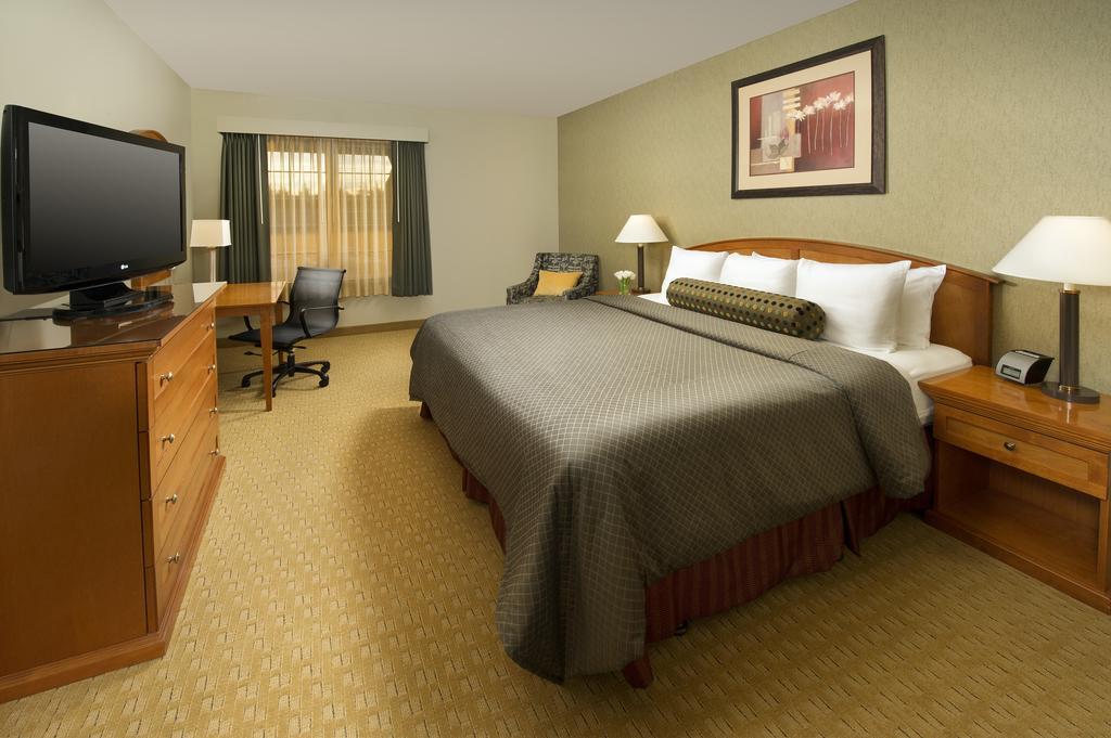 King Room,1218809653:JPEG