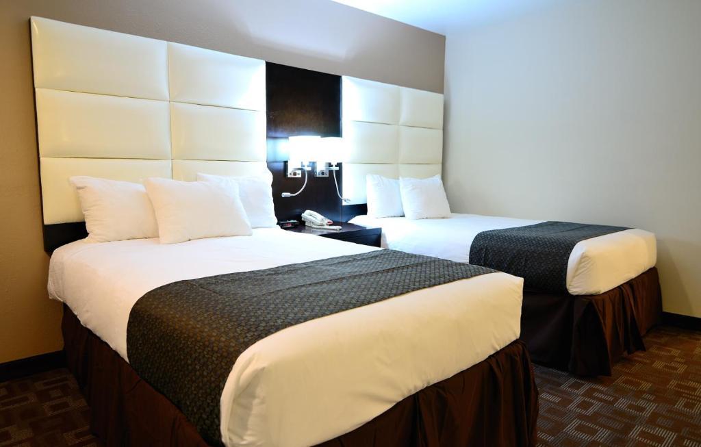 Double Room - Disability Access/Non-Smoking,53987596:JPEG