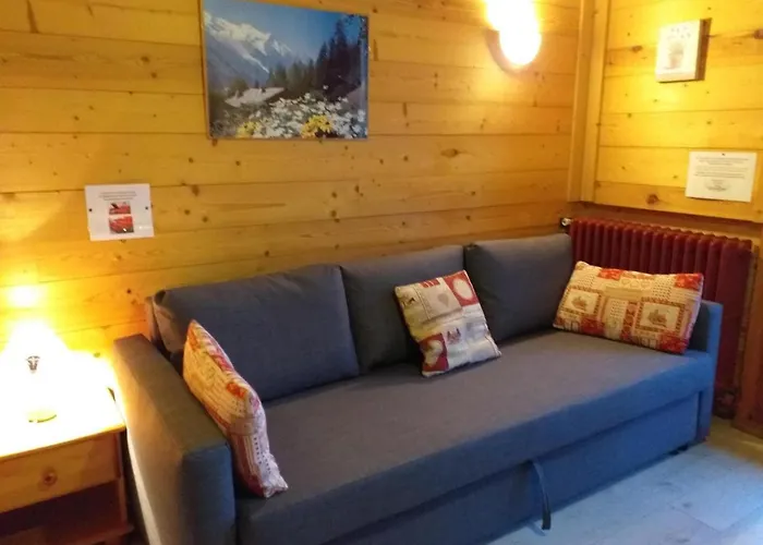 Hôtel accueillant les animaux: Chalet Plein Sud