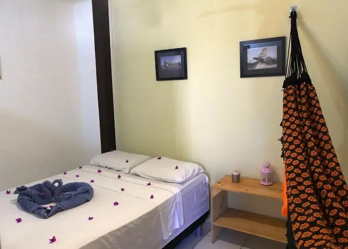 Hotel que aceita animais de estimação: Benu Suítes