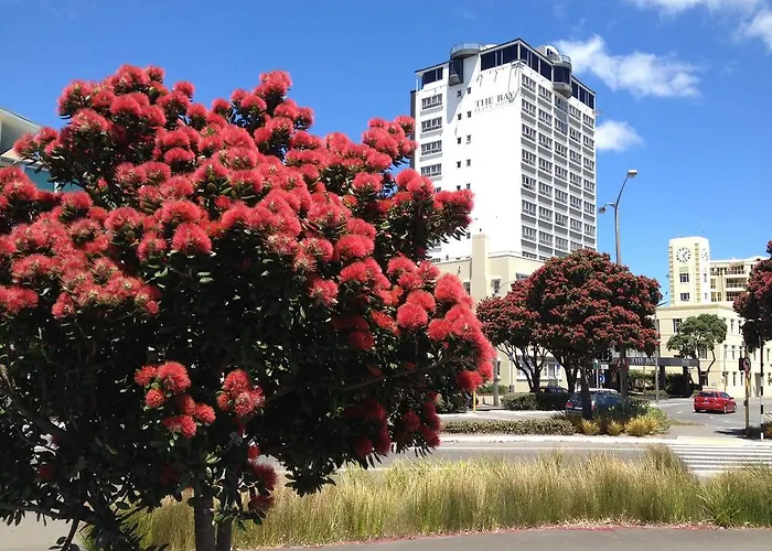 3 star hotel: Bay Plaza Hotel
