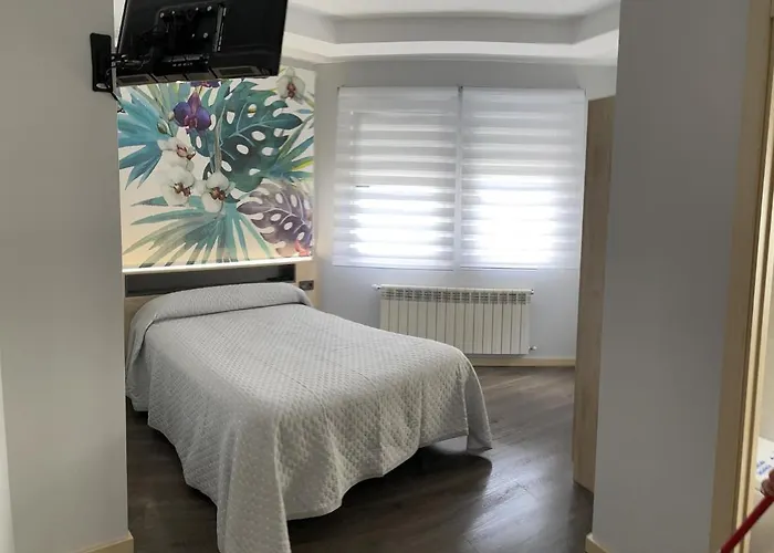 Hotel familiar: Pensión A Carballeira