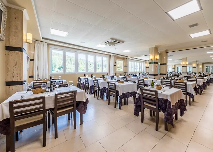 Hotel que admite mascotas: Hotel Rosaleda del Mijares