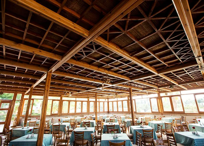 Resort: Fort Arabesque Resort, Spa & Villas