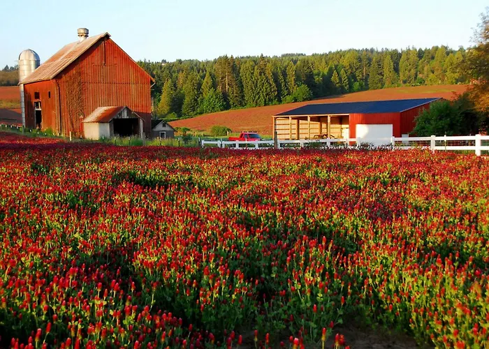 Luxury hotel only: Staybridge Suites - Hillsboro North By Ihg