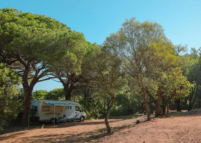 Hôtel accueillant les animaux: Camping Ladouceur