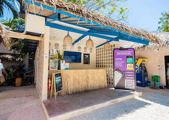 Hostel: Mad Monkey Panglao