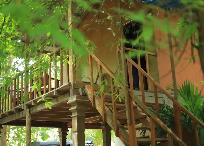 4 star hotel: Sigiriya Free View Tree House & Villa