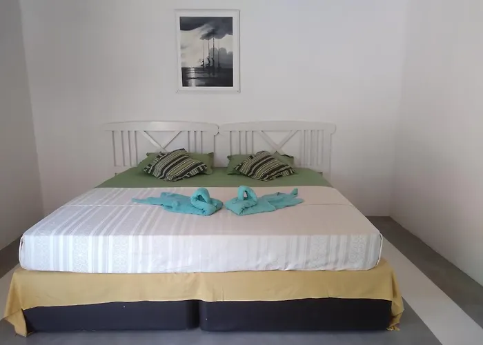 Pet Friendly hotel: Style Villa