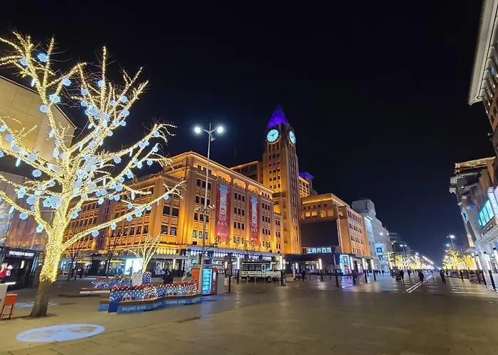 Happy Dragon Saga Hotel: Garden Terrace in City Center