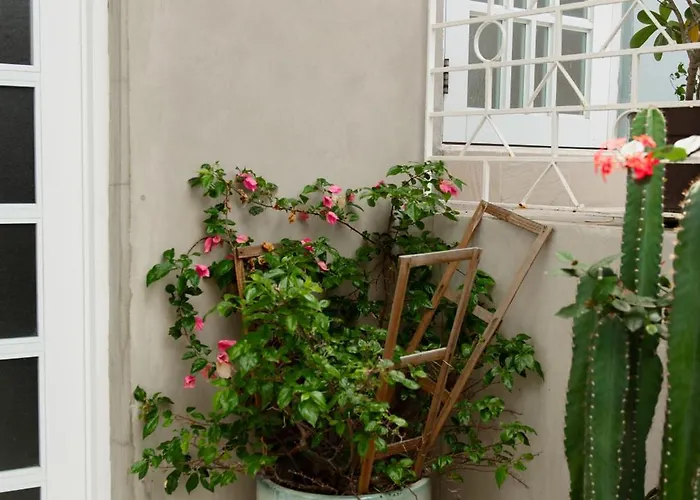 Pet Friendly hotel: Casa Magdalena