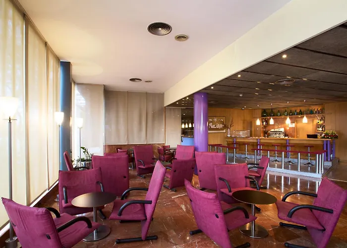 Hotel que admite mascotas: Hotel Domo