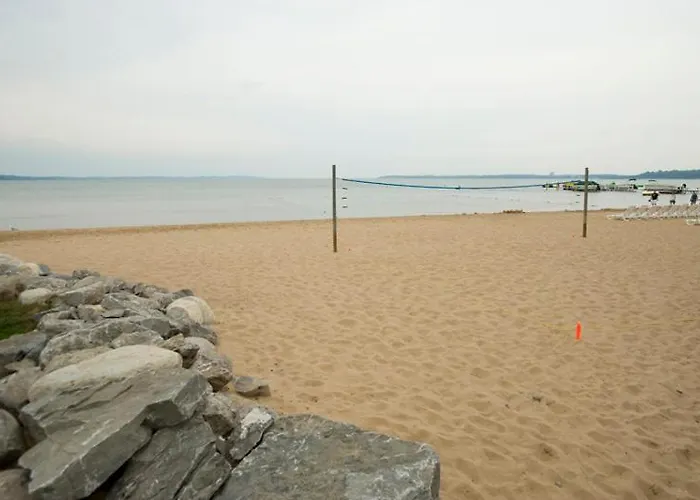 Pet Friendly hotel: Parkshore Resort