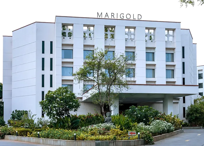 Luxury hotel only: Marigold Hotel
