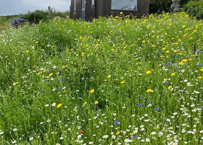 Villa: Elfin Cottage