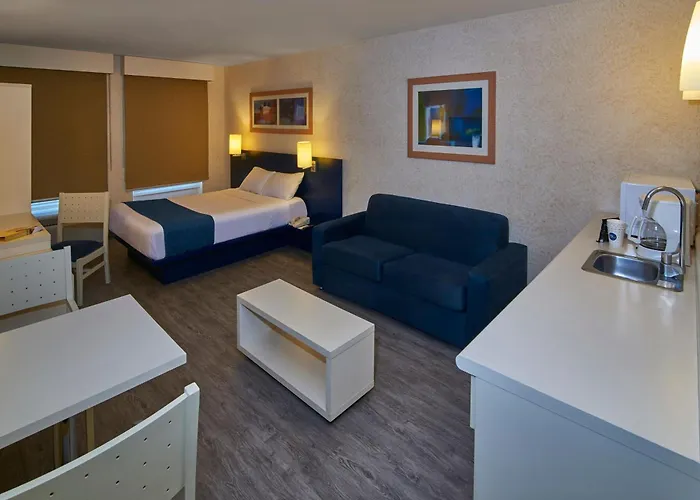 Pet Friendly hotel: City Express By Marriott Puebla Angelopolis