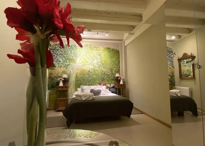 Apartamento: Refitolería Apartamentos