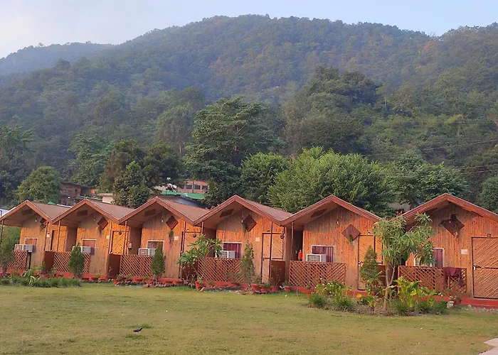 Campsite: The Jungle Mist Resort
