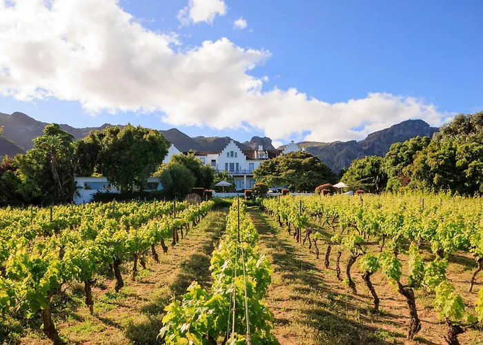 The Cellars-Hohenort