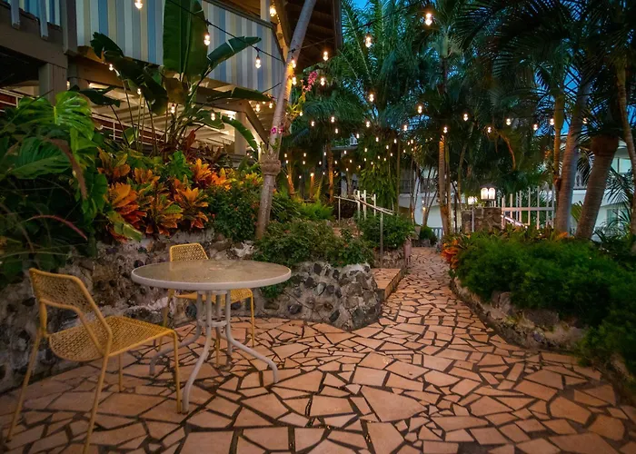 Pet Friendly hotel: Lazy Parrot Inn