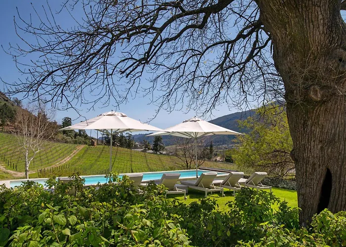 Luxury hotel only: Mont Rochelle Hotel And Vineyard