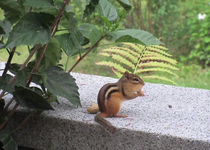 Boutique hotel only: Gite Saint-Laurent