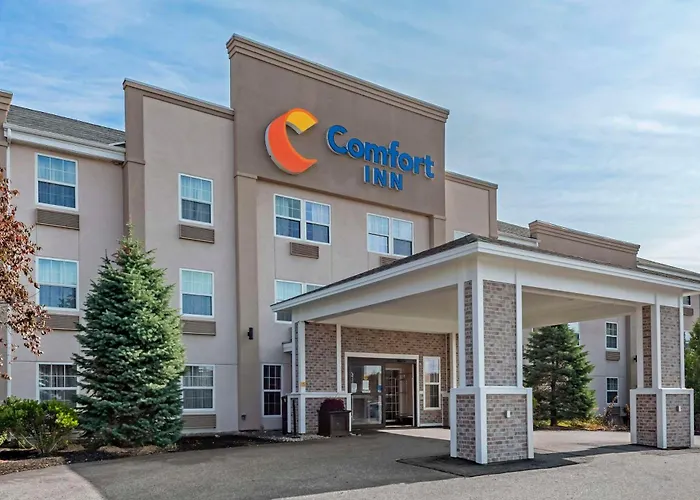 Pet Friendly hotel: Comfort Inn Augusta