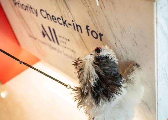 Ibis Hotel Hannover Medical Park