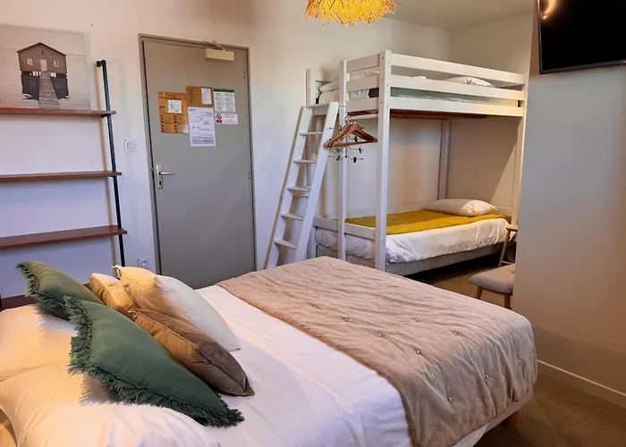 Hôtel accueillant les animaux: Cit'Hotel Les Alizes