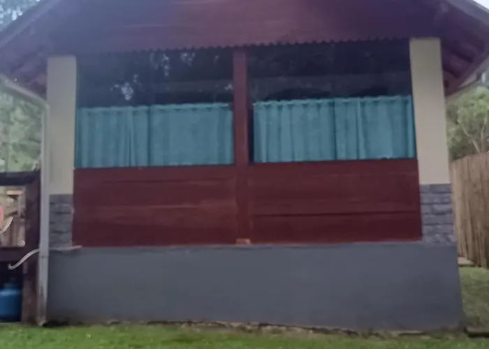 Palmeira Azul