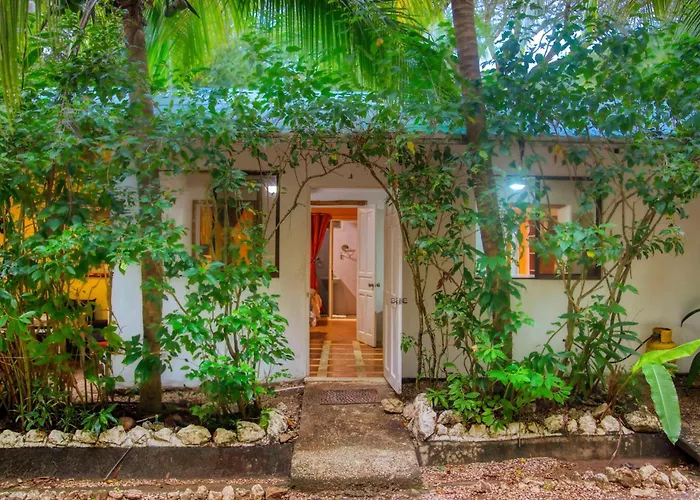Hotel with view: Jungles Edge Hotel, Jiu Jitsu, Muay Thai Retreat Center
