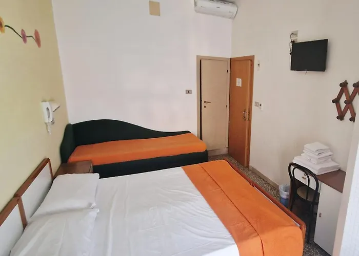 Hotel adatto agli animali: Hotel Clara Rimini