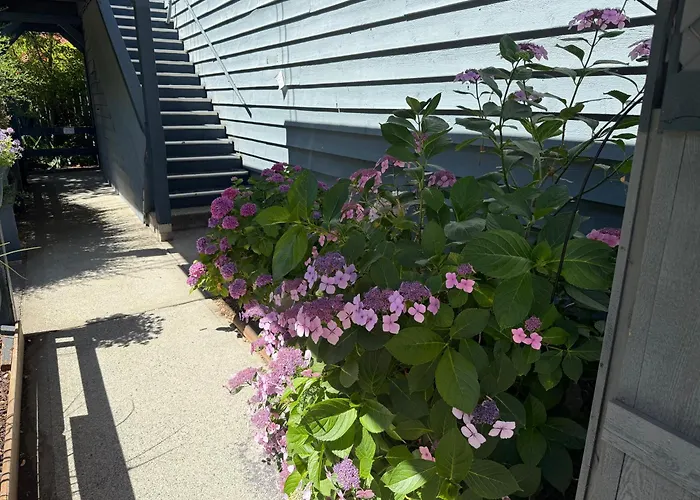 Cheap hotel: Sand Pebbles Inn