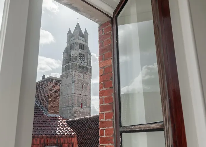 Hôtel accueillant les animaux: D28 Bruges