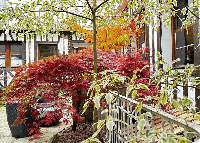 Hôtel accueillant les animaux: Hôtel De La Cathédrale