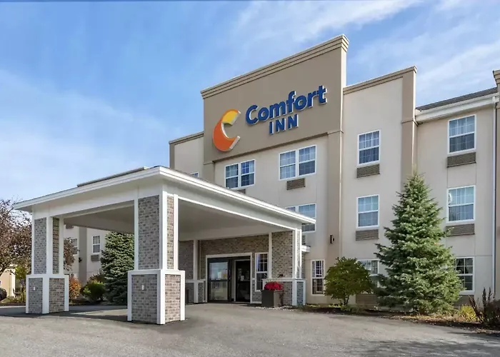 Pet Friendly hotel: Comfort Inn Augusta