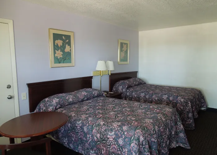 Pet Friendly hotel: Knights Inn Mineral Wells