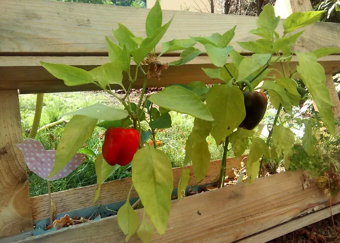 Family Hotel: Hotel Markgraf Leipzig