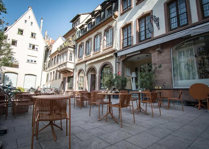 Huisdiervriendelijk hotel: Hotel Le Rohan, Centre Cathedrale