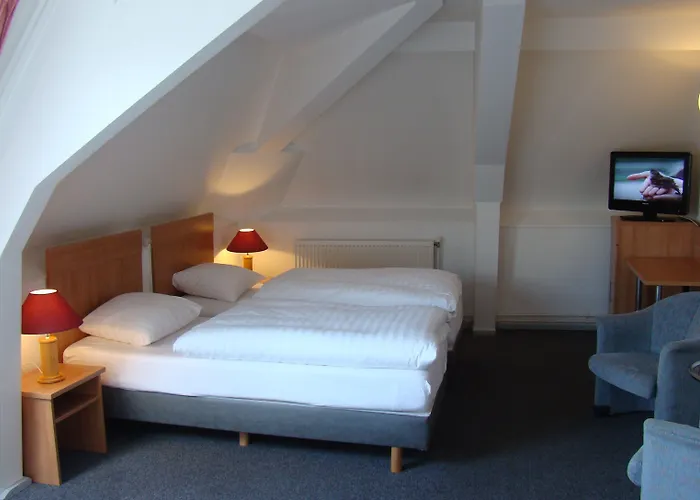 Hôtel accueillant les animaux: Rho Hotel