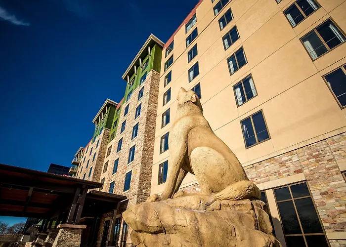 Great Wolf Lodge Bloomington