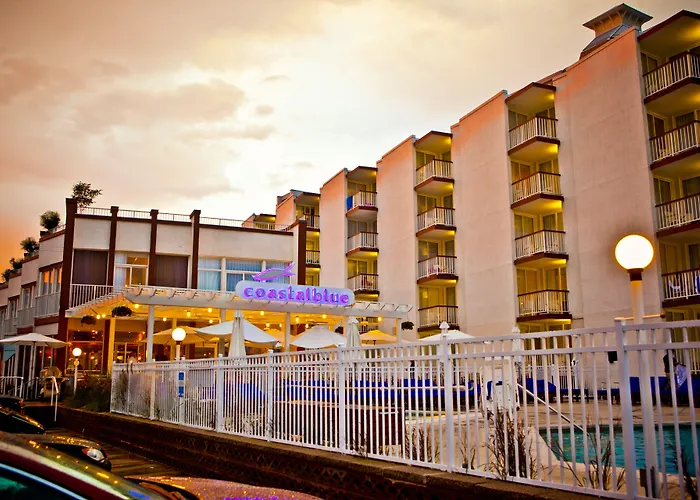 Pet Friendly hotel: Icona Diamond Beach