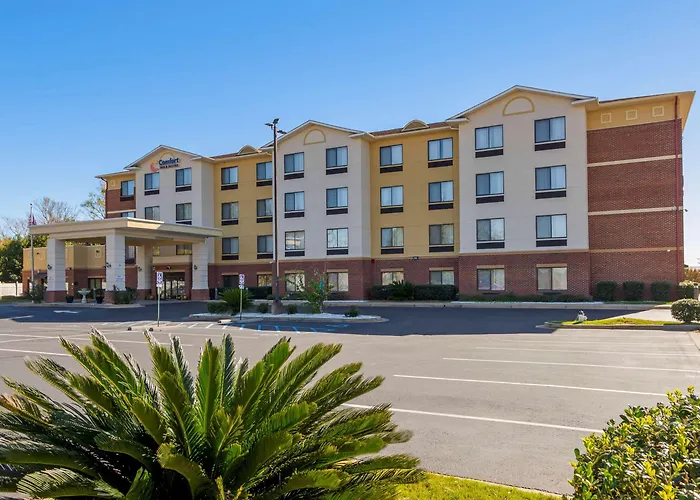 Motel: Comfort Inn & Suites Montgomery Eastchase
