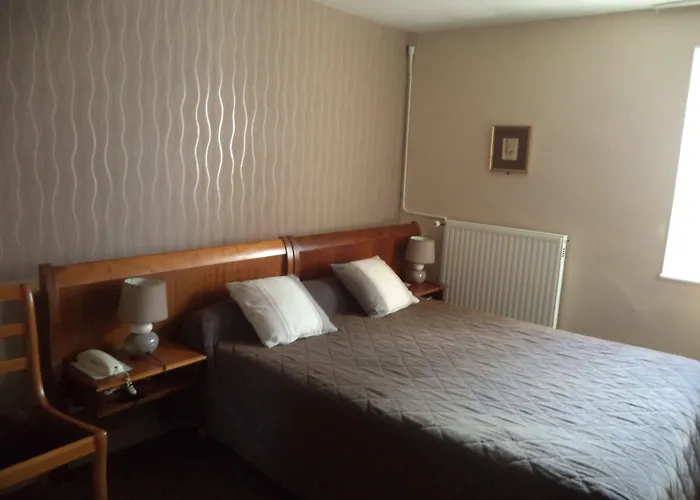 Hôtel accueillant les animaux: Cit'Hotel Avallon Vauban