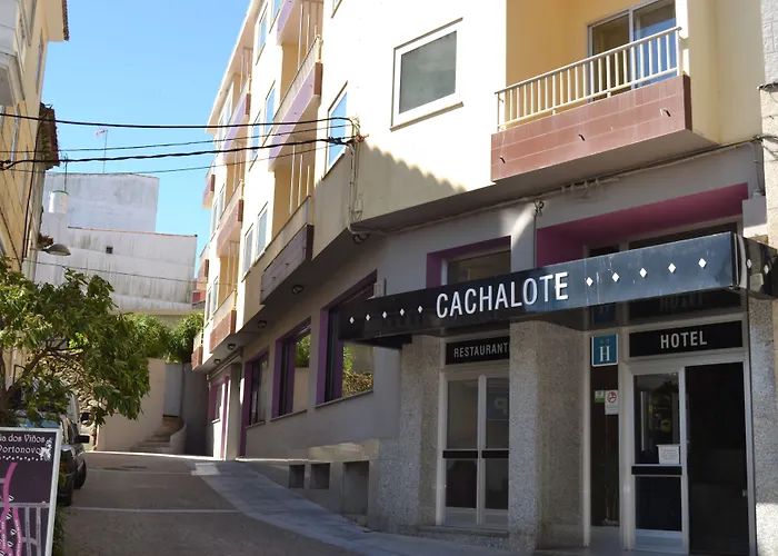 Hotel céntrico: Hotel Nuevo Cachalote