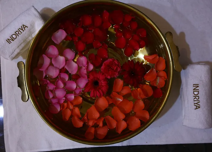 Family Hotel: The Umrao