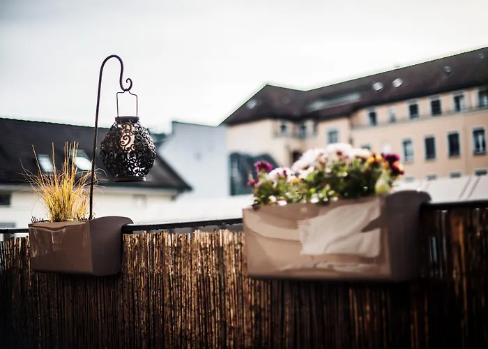 Pet Friendly hotel: Boutique Hotel Ni-Mo