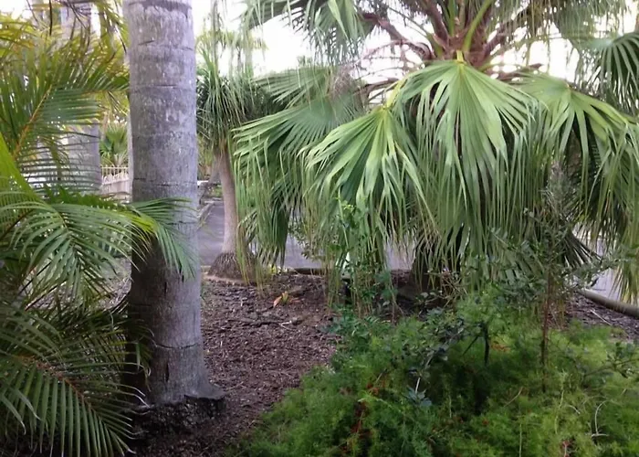 Cheap hotel: Forster Palms Motel